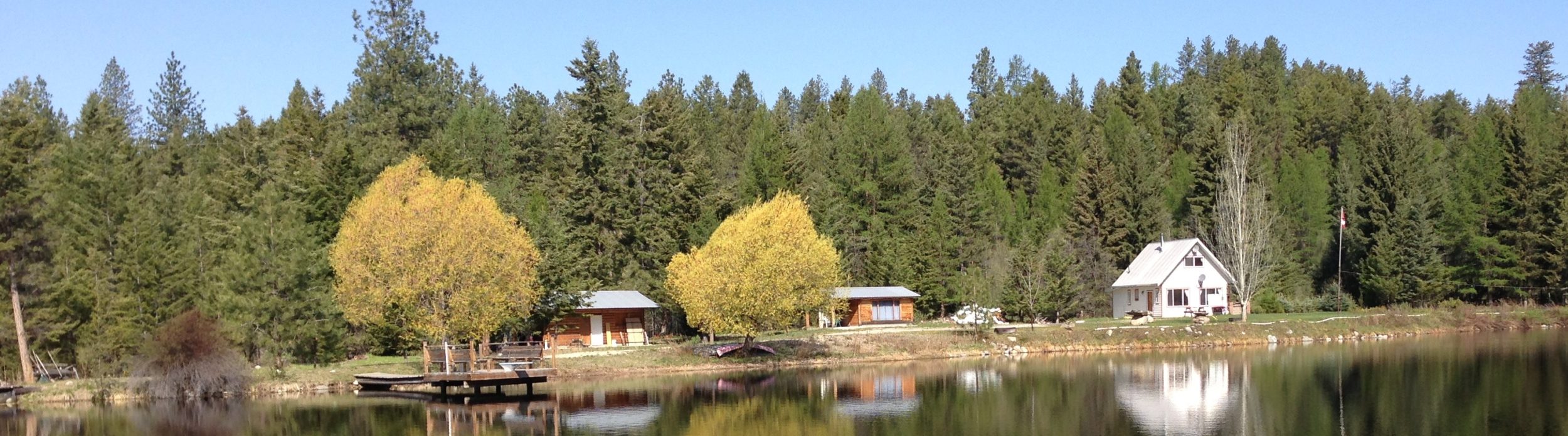 OWLSROOST CABINS AND TREE FARM